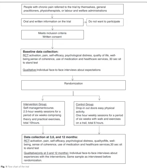 Fig. 1 Flow chart of the trial