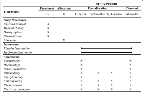 Fig. 2 Activity schedule that may occur during each contact with the participant