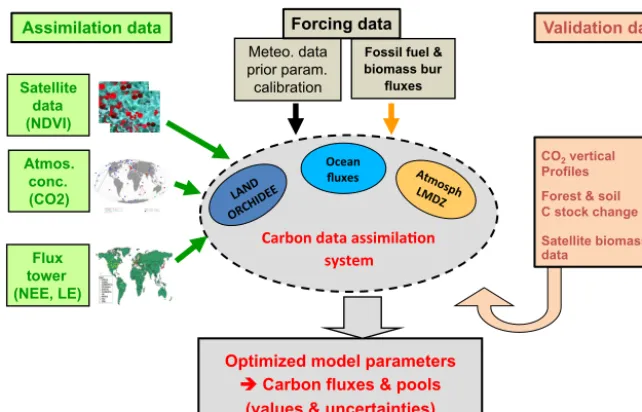 Figure 2. Illustration of the stepwise data assimilation ap-proach used for the assimilation of multiple data streams in theORCHIDEE-CCDAS