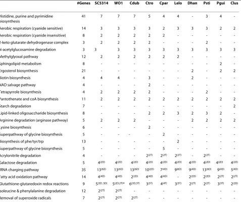 Table 4: CGD metabolic pathways that show evidence of gene clustering.