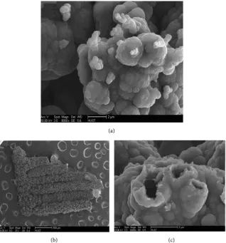 Figure 2(a) shows the SEM micrograph of the PPy films produced by the elec-ticles are obtained