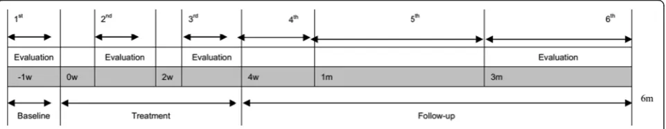 Fig. 2 The total study period and the evaluation time points
