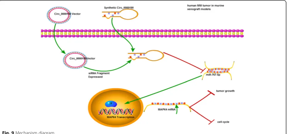 Fig. 9 Mechanism diagram