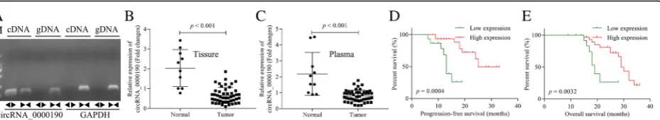 Fig. 1 Circ_0000190 is down-regulated in MM tissues and peripheral blood.human MM and normal healthy peripheral blood