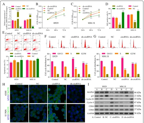 Fig. 2 Circ_0000190 inhibits the progression of MM. a Transfection efficiency of circ_0000190over-expression and knocking down were determined by qRT-PCR