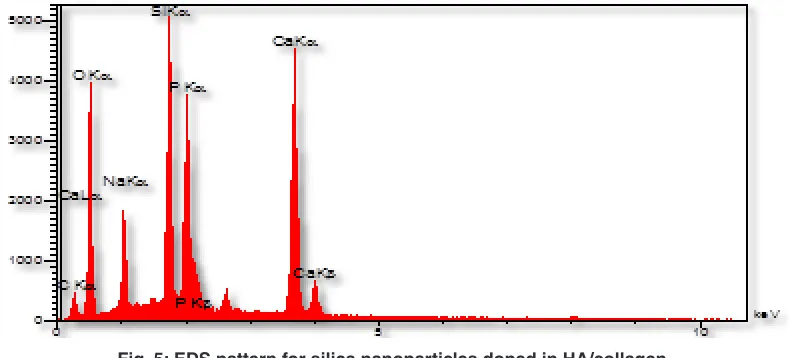 Fig. 5: EDS pattern for silica nanoparticles doped in HA/collagen