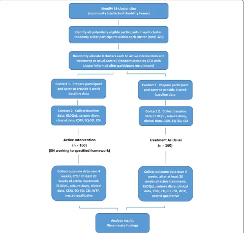 Fig. 1 EpAID trial design. Trial design including the measures to be obtained.CSRI CIDT community intellectual disability team, CSI Carer Strain Index, Client Service Receipt Inventory, CTU Clinical Trials Unit, ELDQoL Epilepsy and Learning Disabilities Quality of Life scale