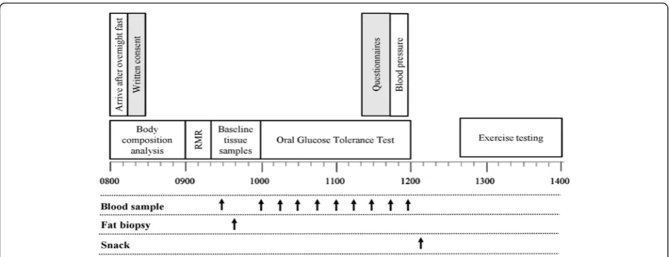 Fig. 2 Schematic overview of main trial day timeline, with 08.00 arrival time of the participant as an example (Abbreviations: RMR restingmetabolic rate)