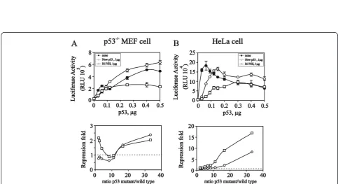 Figure 4 The endogenous wild-type p53 level affects exogenous p53 functions. HeLa cells were transiently transfected with 0.03 μg (A) or0.3 μg (B) pSG5.HA.p53 and the indicated amount of the new variant or R175H mutant p53 along with the pG13-LUC reporter 