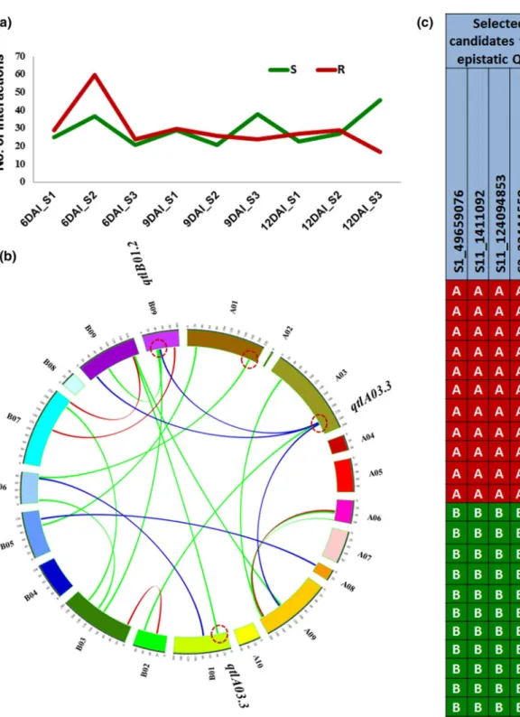 Fig. 4    Number of epistatic interactions contributing towards resist- resist-ance and susceptibility against time of infection