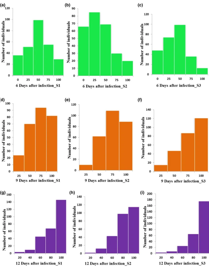 Fig. 2    Frequency distribution for stem rot disease resistance at differ- differ-ent infection stages