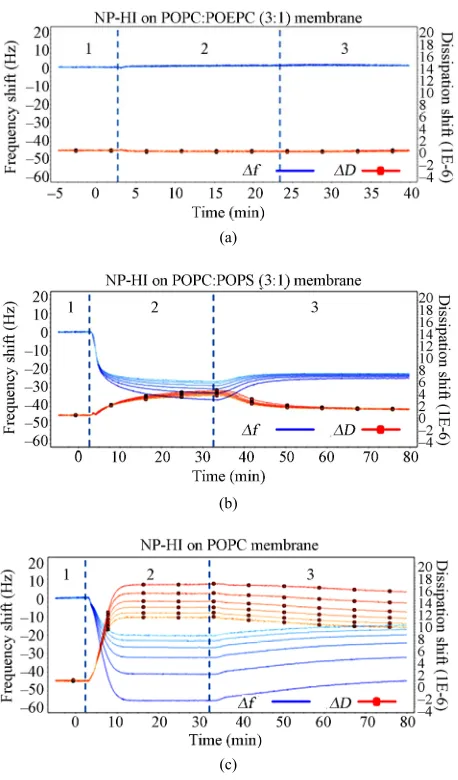 Figure 3. QCM-D data (z = 3, 5, 7, 9, 11 and 13) of the in-teraction between NP-HI and three differently charged model membranes