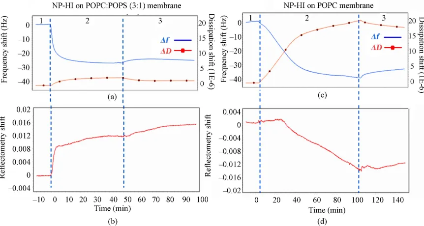 Figure 5. Modeling of the reflectometry sensitivity factor A. (a) The different layers included in the model and their respec-nk