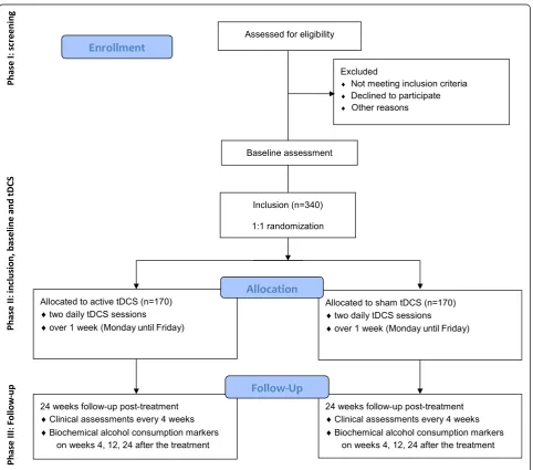 Fig. 1 Study flow diagram