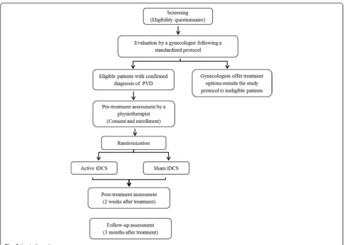 Fig. 1 Study flow diagram