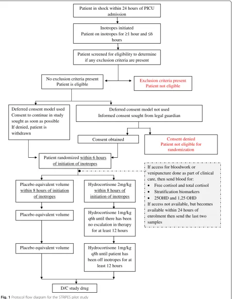 Fig. 1 Protocol flow diagram for the STRIPES pilot study