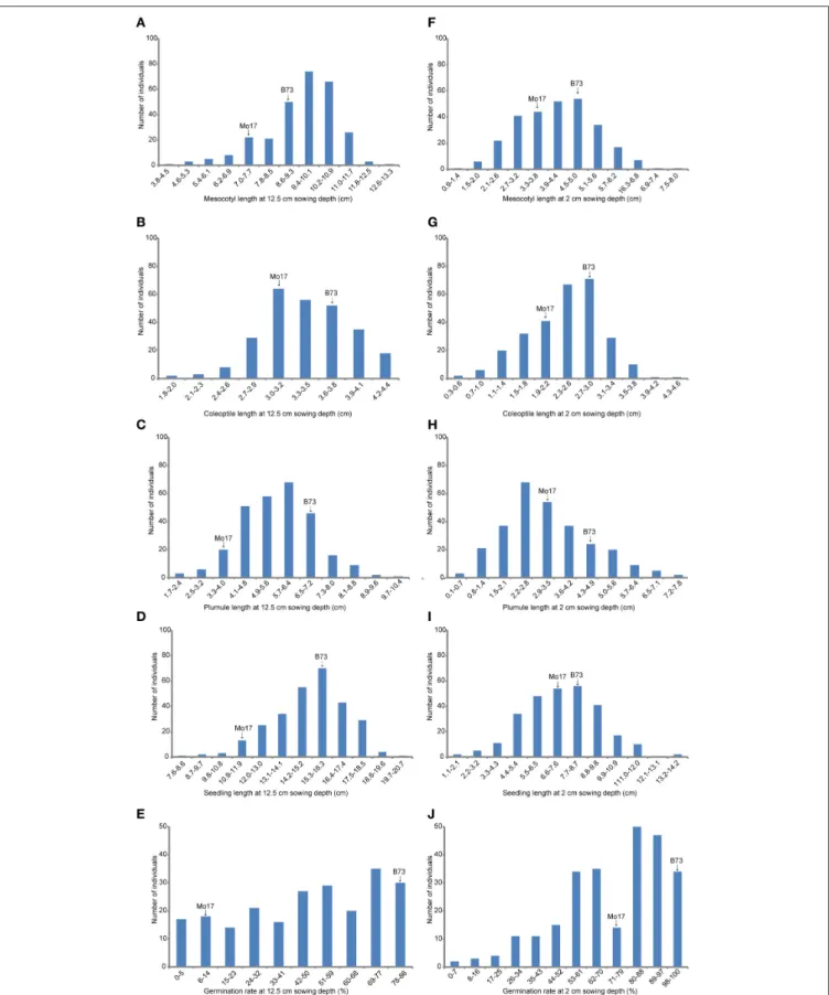 FIGURE 2 | The histogram of frequency distribution of germination-related traits under two sowing depths in IBM Syn10 population
