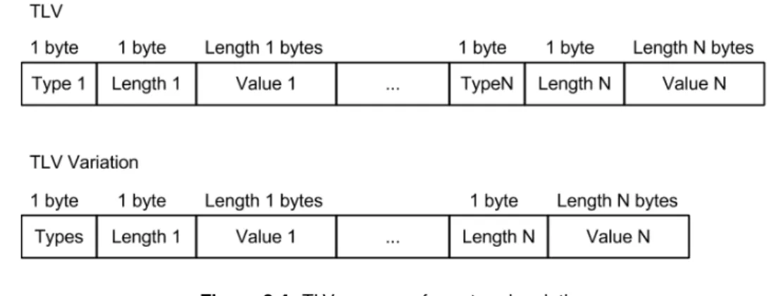 Figure 3.4: TLV message format and variation
