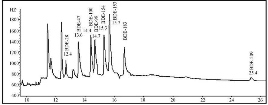 Figure 5. Chromatogram obtained by the developed method for sludge sample spiked with 0.100 µg L-1 of BDE-209 and 0.050 µg L-1of remaining BDEs