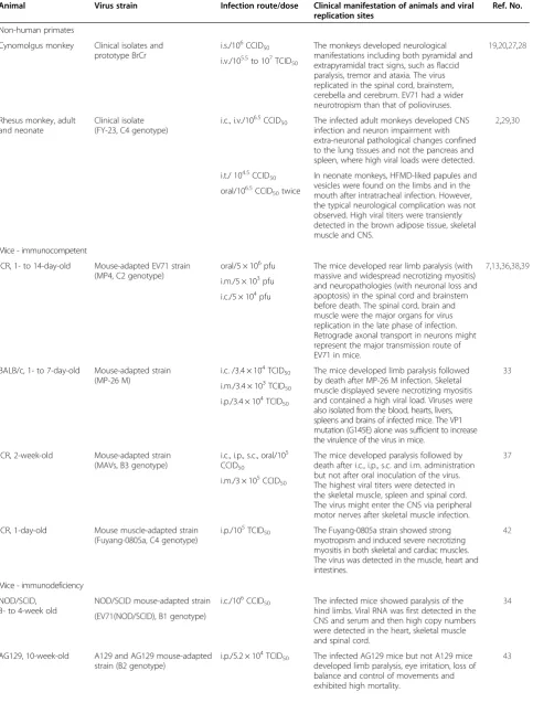 Table 1 Enterovirus 71 animal models for pathogenesis studies
