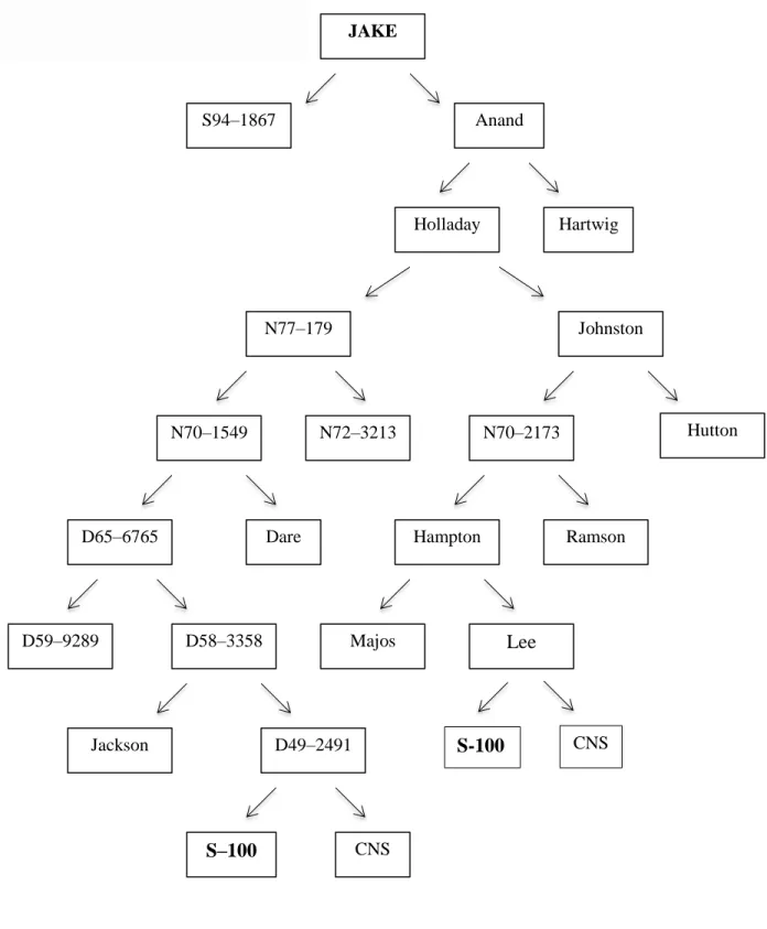 Figure 3. Pedigree of the soybean variety Jake 