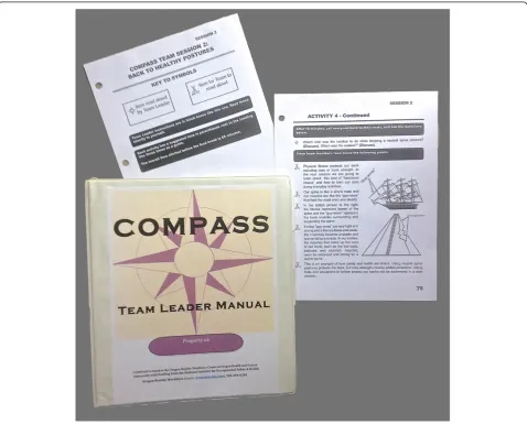 Figure 2 COMPASS team leader manual and sample scripted pages. COMPASS, COMmunity of Practice And Safety Support.