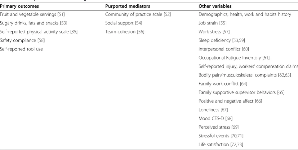 Table 2 Survey constructs and origins
