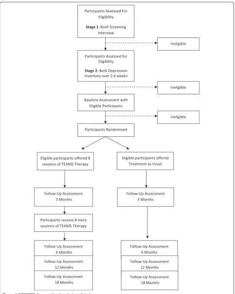 Figure 1 CONSORT diagram showing design of study.