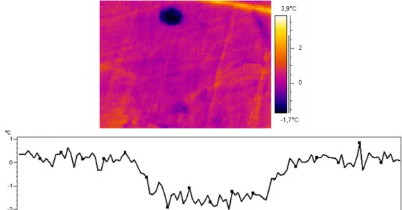 Fig 7. Localization of a “cold” leakage on a thermal image and its thermal section 