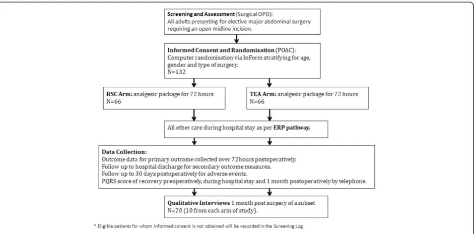 Figure 1 Trial schema. Diagram illustrating timelines and patient pathways for both study arms.