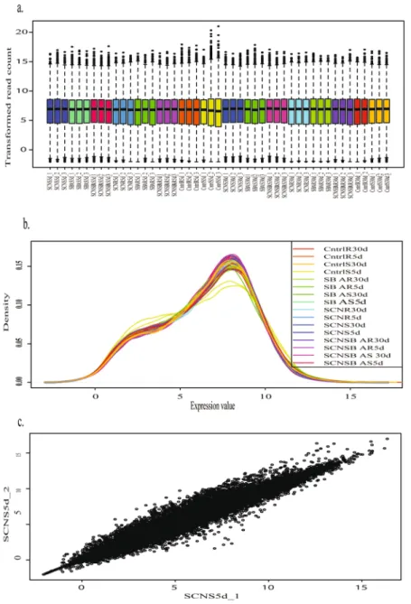 Fig. 3  Pre-processing of transcriptomic data. (a) Distribution of transformed data, (b) Density plot of  transformed data, and (c) Scatter plot of the first two samples (SCNS5d_1 vs SCNS5d_2).
