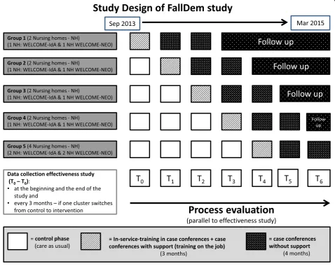 Figure 2 Design of the FallDem study including process evaluation.