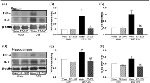 Fig. 6 Hippocampal expression of TNF-α (a) and IL-6 (b) mRNA in dextran sulfate sodium-treated mice