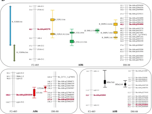 Figure 4. Quantitative trait loci hotspots for the DH-88 and F2-485 population. (A)  QTLs are represented by colored vertical bars positioned at the right of each linkage  group