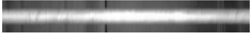 Fig. 6. Aluminium bar bending under its own weight.
