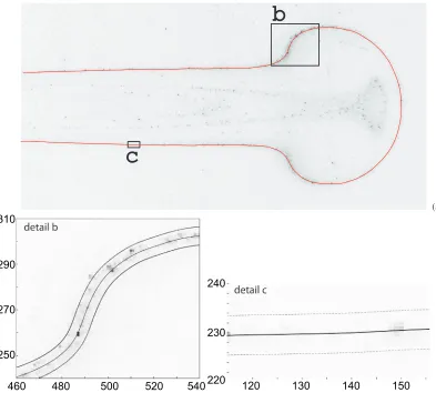 Fig. 9. Thermal plume (inverse video). a) physical image and identiﬁcation (continuous red line), b) and c) details(pixels), external line: borders of the virtual beam.