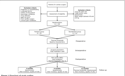 Figure 1 Flowchart of study outline.