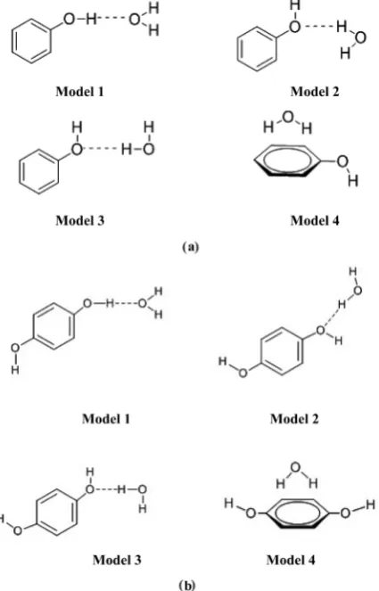 Figure 1. (a) Proposed models for phenol-water complexes; (b) Proposed models for phenol-water complexes
