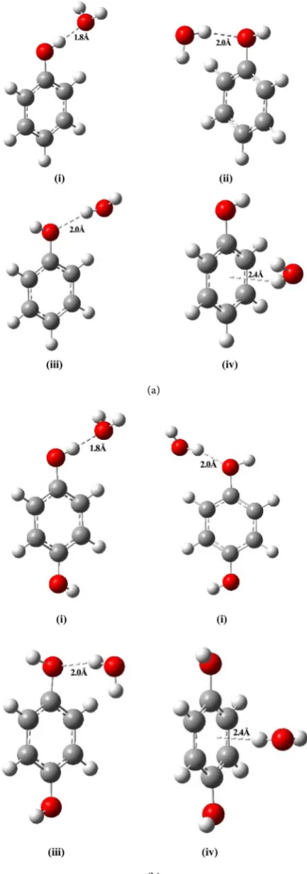 Figure 2. (a) Minimized models with hydrogen bonding for phenol-water complexes; (b) Minimized models with hydrogen bonding for diphenol-water complexes