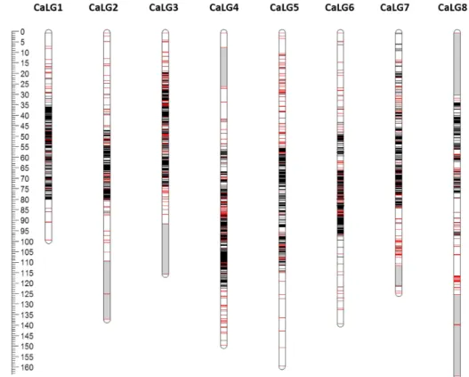 Figure 1.  The high density genetic linkage map of chickpea: The inter-specific linkage map of chickpea  based on RILs of C