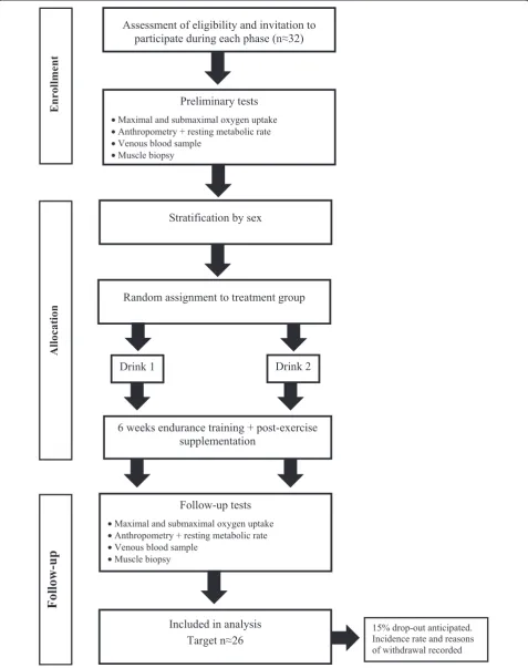 Figure 1 Flow diagram of study protocol.