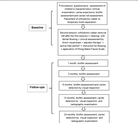Figure 2 Sequence of procedures performed for each recruited child/adolescent. *Active and placebo therapies may be performed indifferent order depending on the group