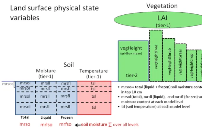Figure 9. Requested state variables that characterize the physical vegetation structure and the physical state of the soil.