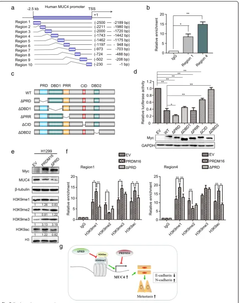 Fig. 7 (See legend on next page.)