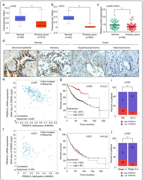 Fig. 1 (See legend on next page.)