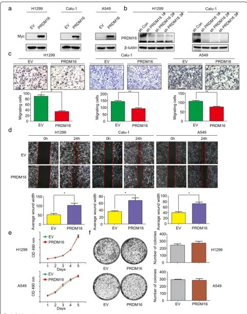 Fig. 2 (See legend on next page.)