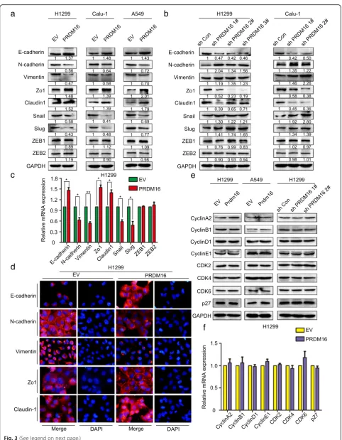 Fig. 3 (See legend on next page.)