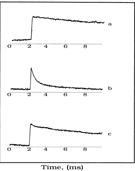 Figure 2.3 Room temperature optical kinetic traces showing the rate of P700^ rereduction in the following samples: