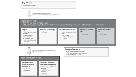 Fig. 1 Intervention schedule. The TRACS trial is divided into three phases. The treatment phase is entered upon enrollment