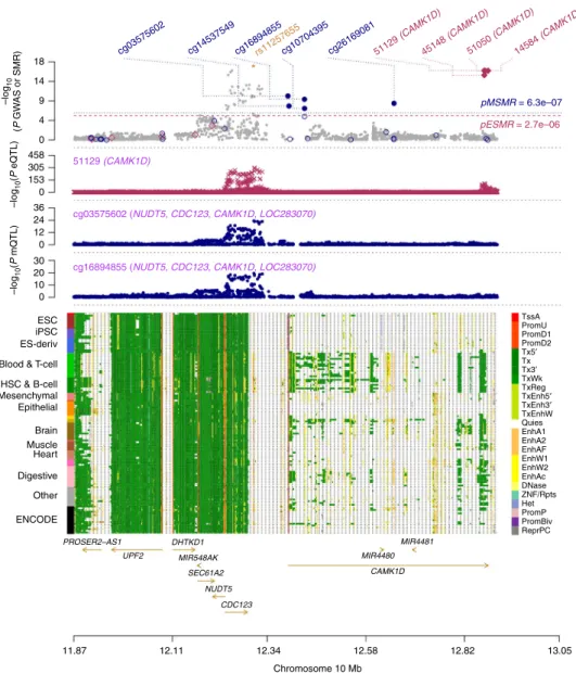 Fig. 2 Prioritizing genes and regulatory elements at the CAMK1D locus for T2D. The results of the SMR analysis that integrates data from GWAS, eQTL, and mQTL studies are shown
